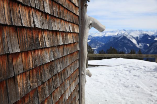 Cedar Siding Repair in Lincoln